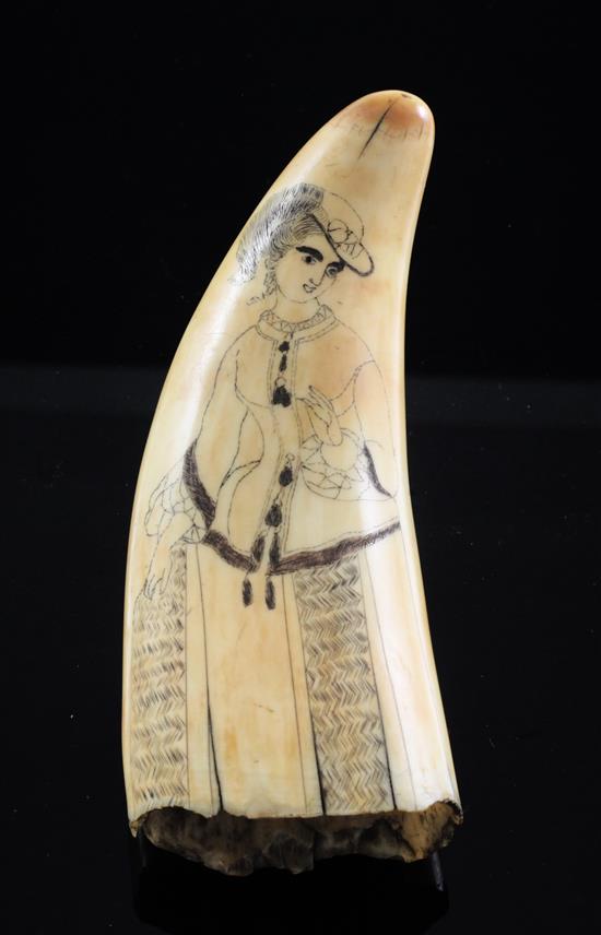 A scrimshaw whales tooth, 5.25in.